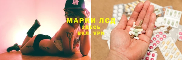 мяу мяу мука Абаза