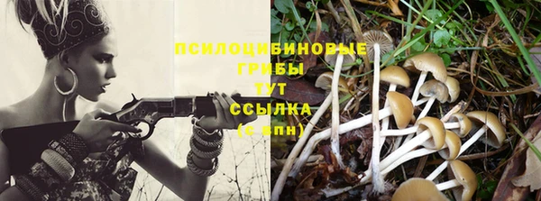 прущие крисы Абдулино