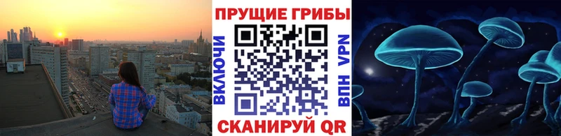 цена   Нефтегорск  Псилоцибиновые грибы ЛСД 
